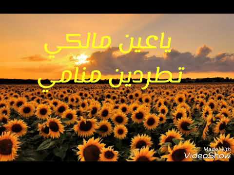 يا عين مالكي تطردين منامي ام انتي في ذكرى الحبيب تضامي