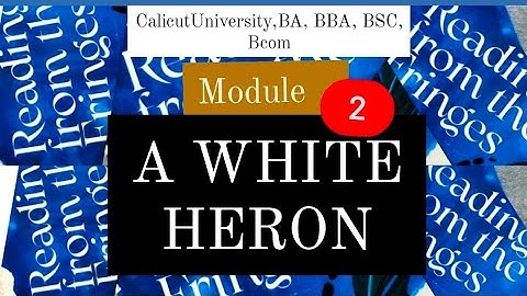 A White Heron calicut University|Second Sem English| Reading From Fringes|#calicutuniversity #class