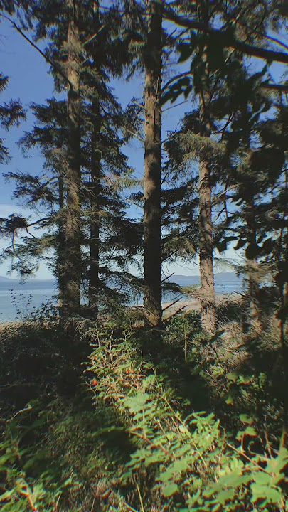 Another day in paradise #washington #hikingszn