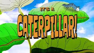 The Rare Occasions | Caterpillar! (Lyric Video)