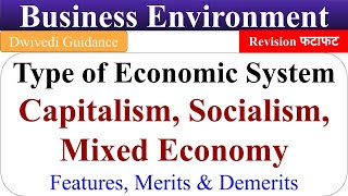 economic system capitalism socialism and mixed economy, economic system, business environment