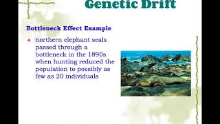 Mechanisms of Microevolution