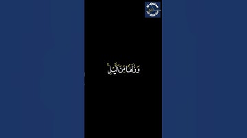 إن الحسنـات یذهبن السیـٔات ياسر الدوسري سورة هود
