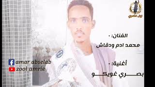 محمد ادم ودقاش بصري غويكو