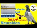 Kabootar bazi ka nuskha or neurobiin teblet