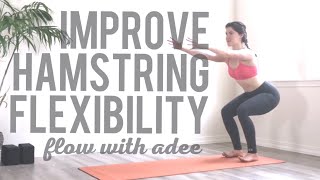 Improve Your Hamstring Flexibility | Follow Along!