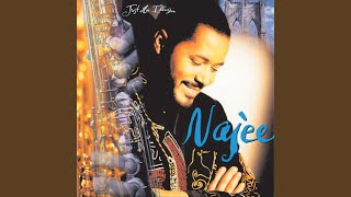 Video thumbnail of "Najee - Loving Every Moment"
