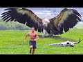 If You Encounter These Birds, You Should Run