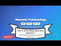 Neonatal Nursing Certification Review: Part 2 Section 2 – Transient Tachypnea of the Newborn (TTN)