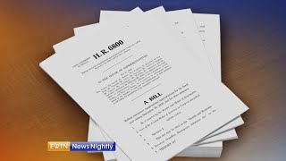 Lawmakers call for more federal aid for businesses, individuals | EWTN News Nightly