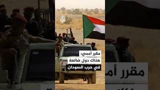 المقرر الأممي لتعزيز نظام دولي ديمقراطي للجزيرة: نرى ما يسمى بحرب الوكالة في السودان