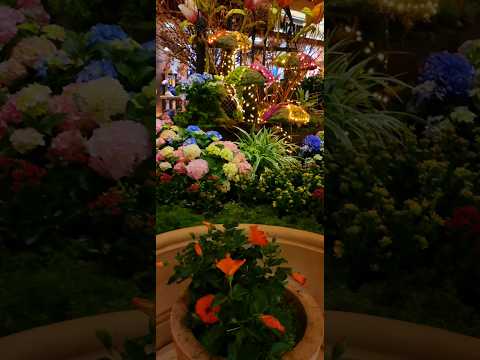 Best Hidden Buffet in Vegas - Studio B Buffet @ M Resort