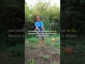 Faccio la rincalzatura con il decespugliatore