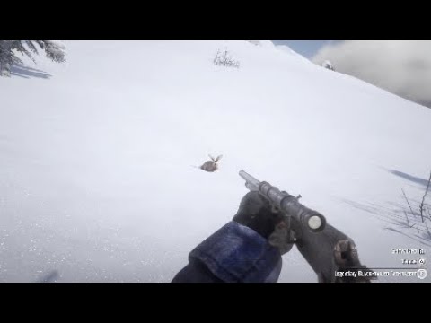 RDR2: Secret Legendary Black Tailed Jack Rabbit location - YouTube