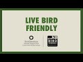 Live Bird Friendly: Share Your Sightings on eBird