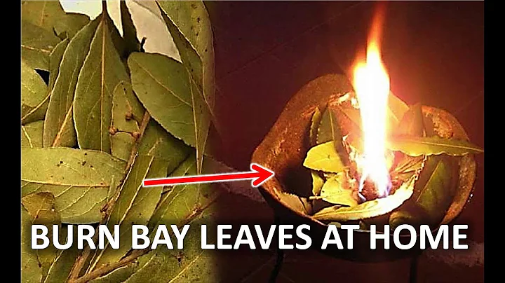 Burn some bay leaves in your house and this will h...