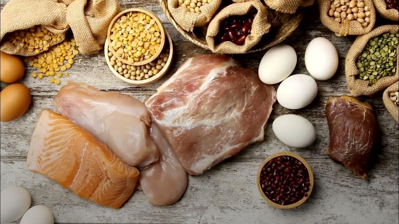 Which Foods Are High In Protein? LiveScience YouTube