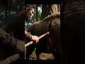 The kill shot Life Million Years Ago #animals #wildlife #earlyhuman #prehistorichumans