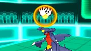 [Pokemon X and Y] Wifi Battle #16: *VGC*