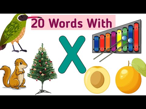 Words Start With Letter X 20 Words That Start With Letter X What Words Start With Letter X