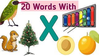 Words Start With  Letter X | 20 Words That Start With Letter X | What Words Start With Letter X