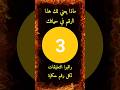 معنى الرقم 3 حكاية الرقم 3 لكل رقم قصص و حكايات معاني الأرقام معنى الرقم 3 حكاية الرقم 3 لكل رقم قصص و حكايات معاني الأرقام