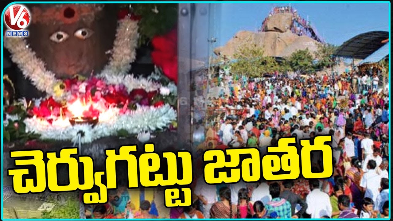 Cheruvugattu Jatara : Sri Parvathi Jadala Ramalingeswara Swamy Temple  | Nalgonda | V6 News