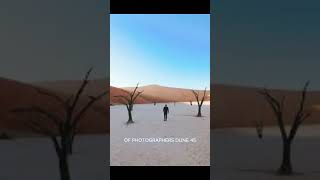 Discover the Stunning Sossusvlei Dunes in Namibia