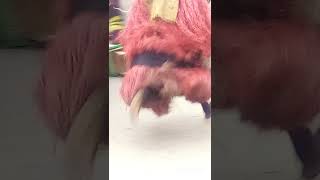 Amadi ama masquerade display #masqueradeball #masqueradeoftheguilty #masquerades