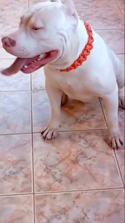 Eu era pequenininho tipo Plutão....