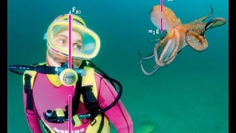 (13-53)  Show that the power needed to drive a fluid through a pipe with uniform cross-section is eq