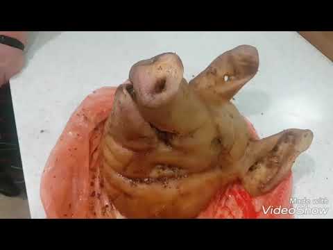 Как приготовить свиную голову целиком