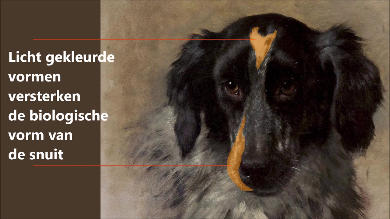 Dieren op doek - Ronner Knip