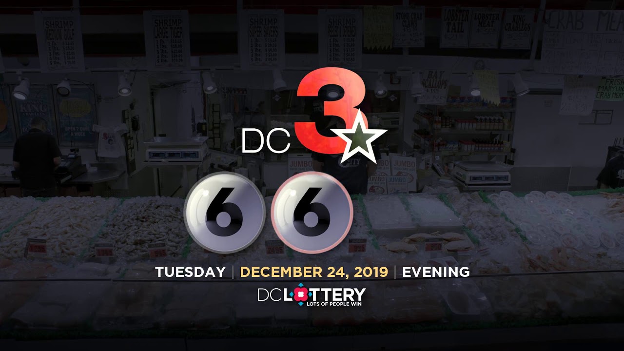 Lottery Lottery