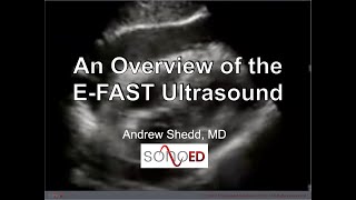 An Overview of the E-FAST Ultrasound in the ER screenshot 5