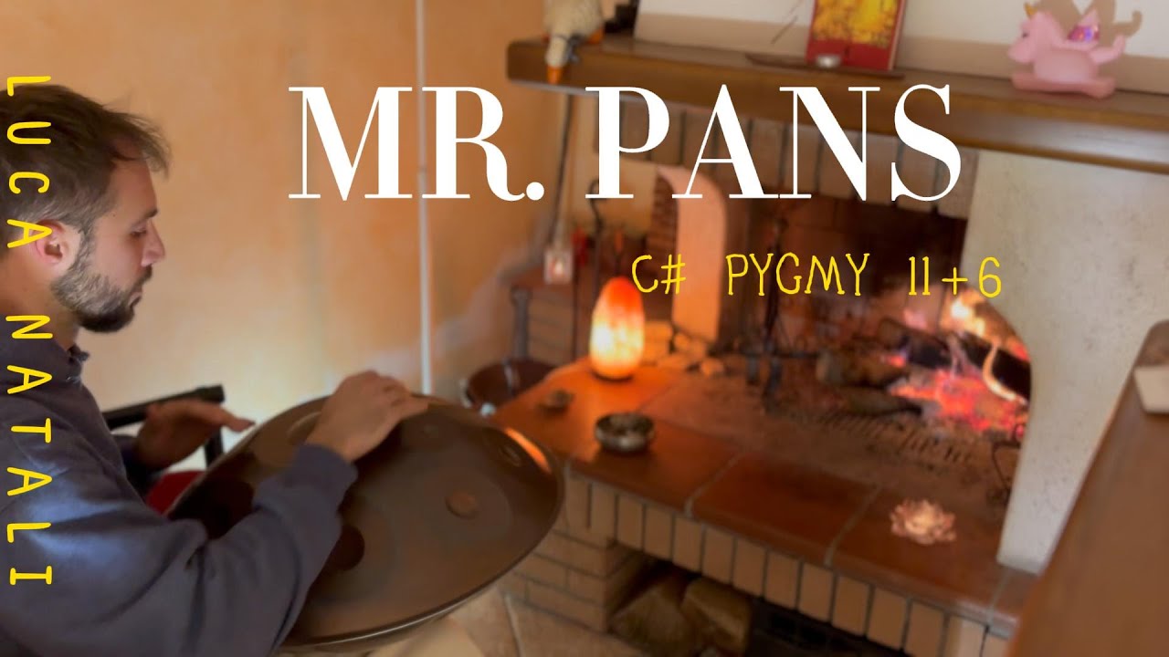 MrPans handpan - C# Pygmy 11+6 - Luca Natali