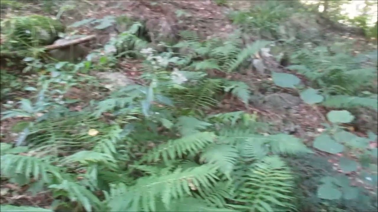 Wernigerode; Der Silberne Mann - ein verlassener Ort