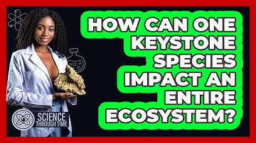 How Can One Keystone Species Impact An Entire Ecosystem? - Science Through Time