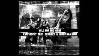 Wild For The Night - A$AP Rocky feat. Skrillex and Birdy Nam Nam w\/Lyrics