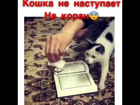 Слава Аллаху - YouTube