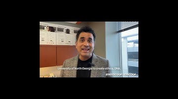 Insights from Georgia