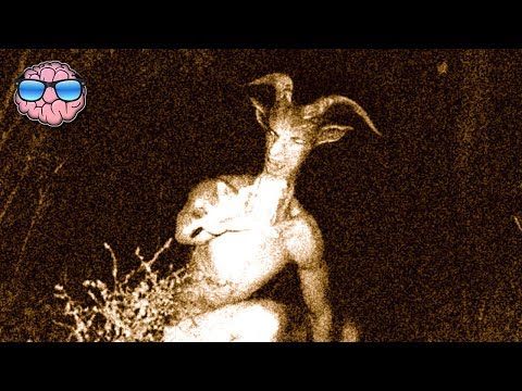 Top 10 Extinct Animals Caught On Tape