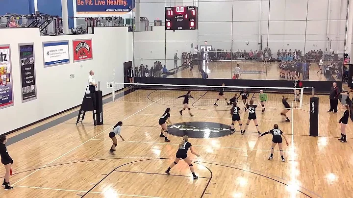 Kristine Fink 2016 Volleyball Highlight Video