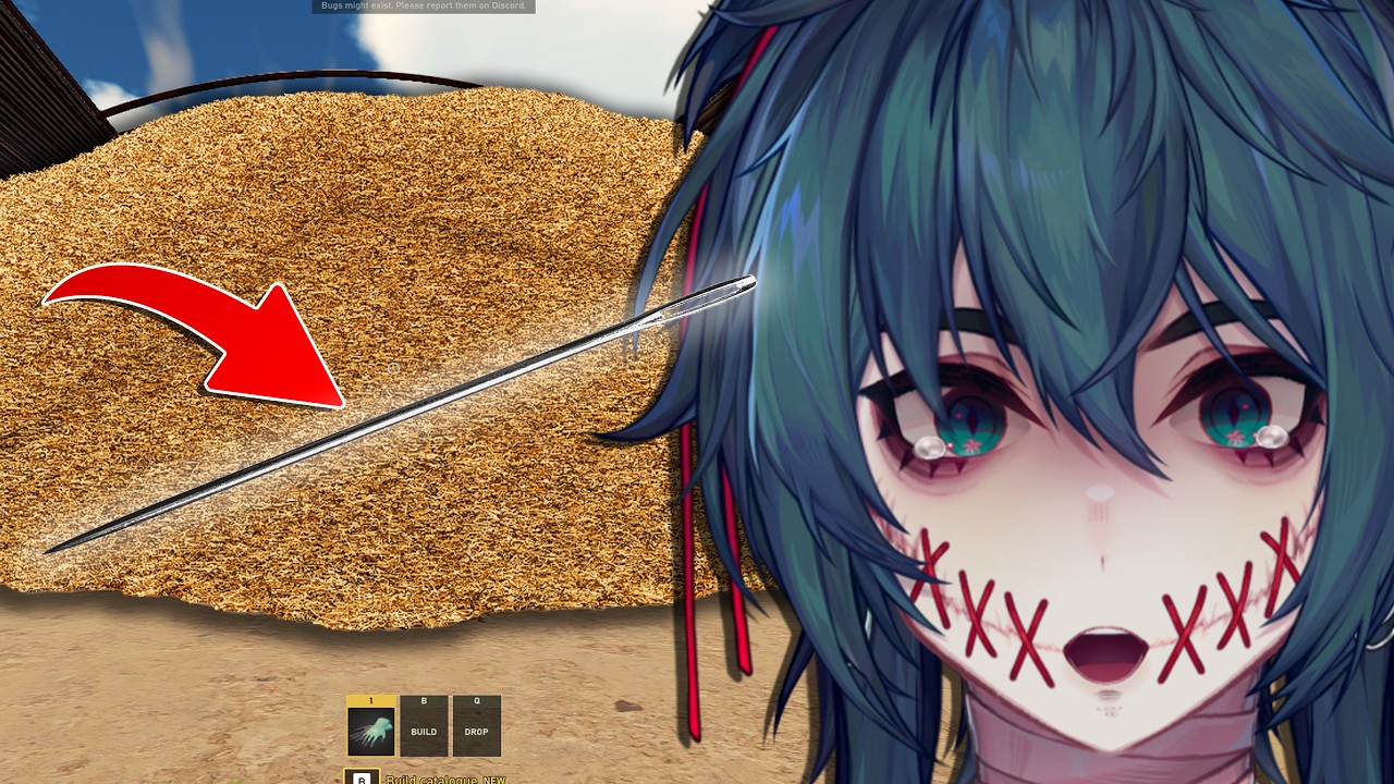 FINDING A NEEDLE IN A HAYSTACK