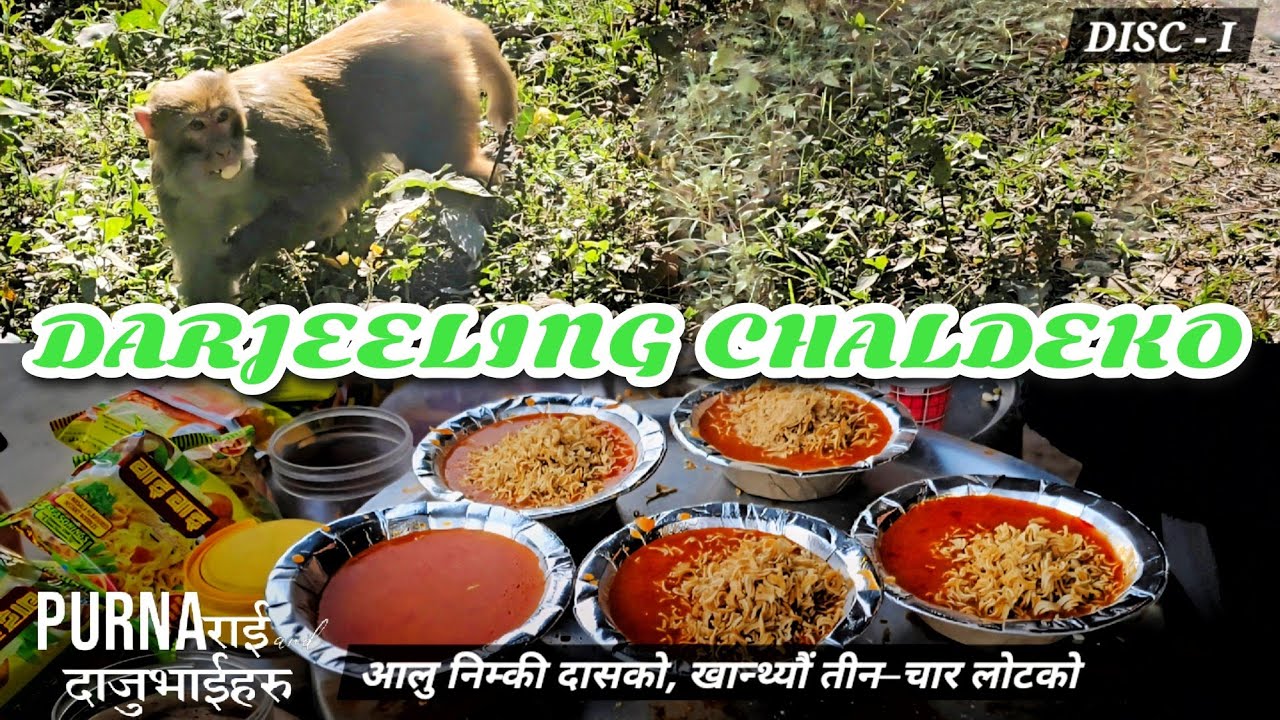 DARJEELING CHALDEKO | DISC - I 