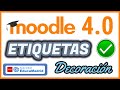 Quiz sobre el uso de etiquetas en Moodle