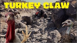 Turkey Claw Trail