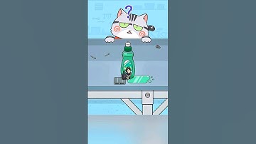 Hide and Seek Cat Escape Gameplay #21