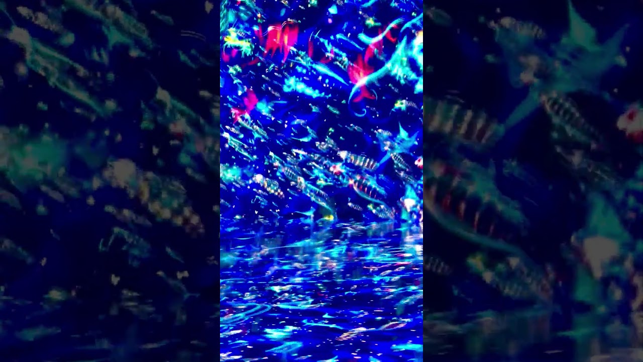 Deep ocean twilight zone. Art, Technology and Science meet@Artechouse DC2024 