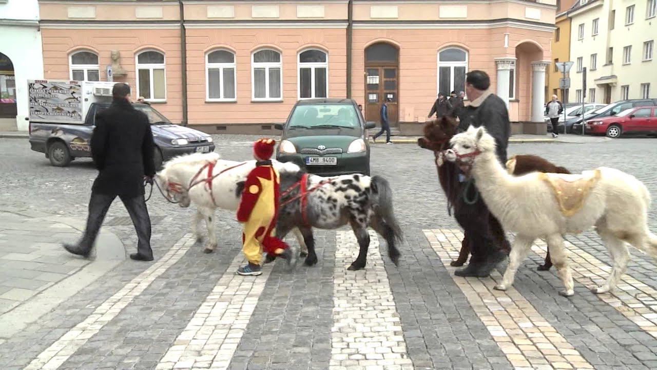 Cirkus Metropol Olomouc 2015